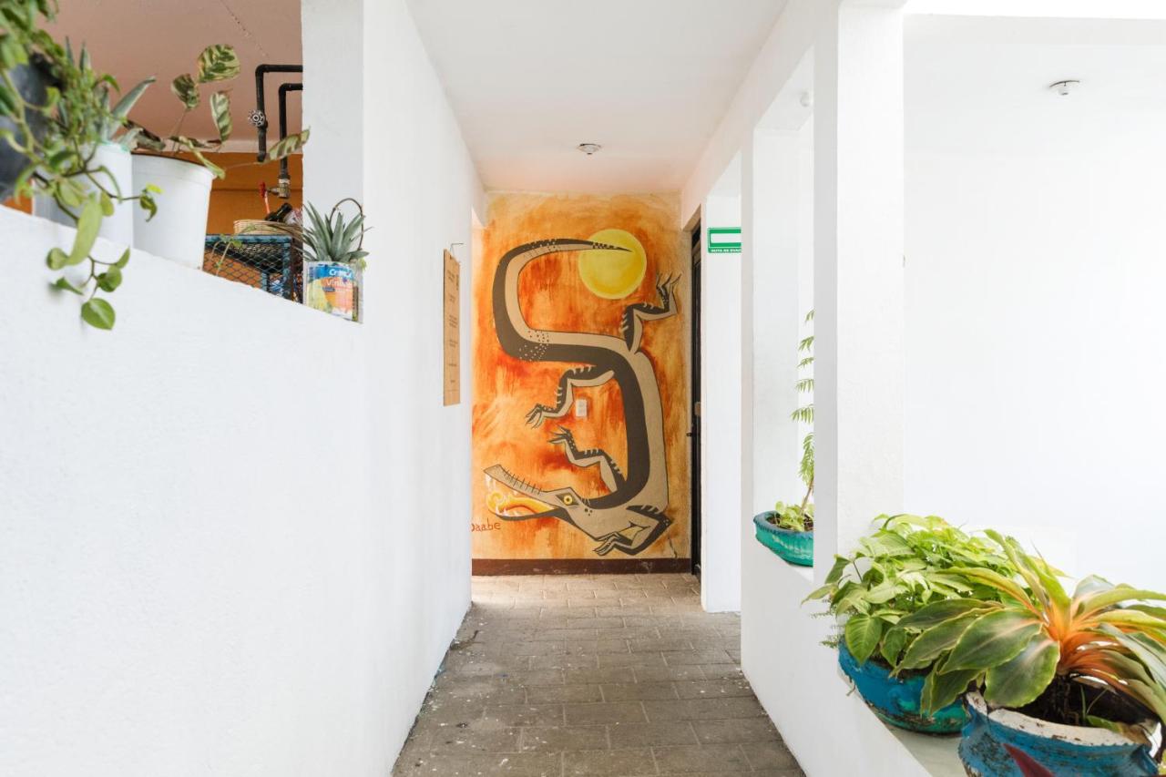 Хостел Residencia Artistica Пуерто-Ескондідо Екстер'єр фото